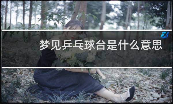 梦见乒乓球台是什么意思图片