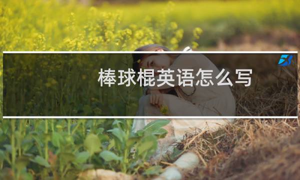 棒球棍英语怎么写图片