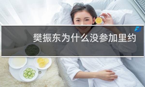 樊振东为什么没参加里约奥运会图片