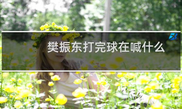 樊振东打完球在喊什么图片