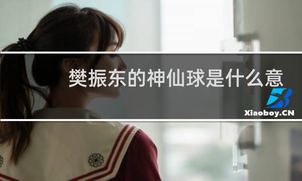 樊振东的神仙球是什么意思图片
