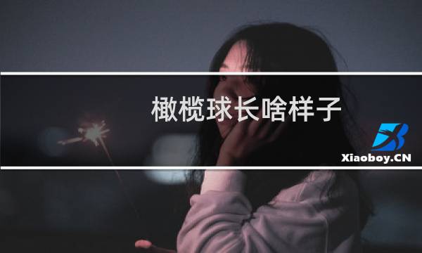 橄榄球长啥样子图片