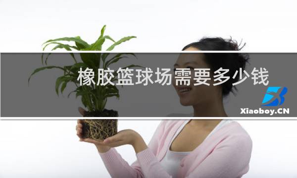 橡胶篮球场需要多少钱图片