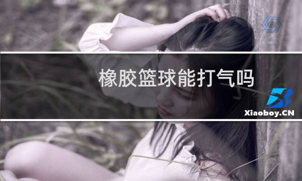 橡胶篮球能打气吗图片