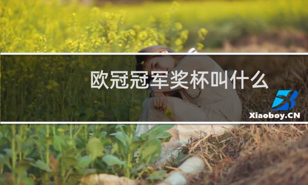 欧冠冠军奖杯叫什么图片