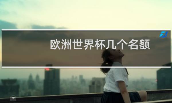 欧洲世界杯几个名额图片