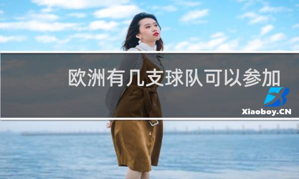 欧洲有几支球队可以参加世界杯图片