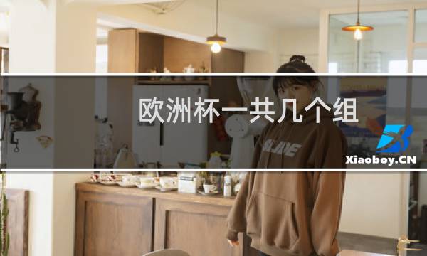 欧洲杯一共几个组图片
