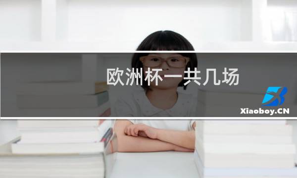欧洲杯一共几场图片