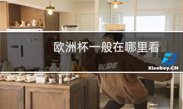 欧洲杯一般在哪里看图片