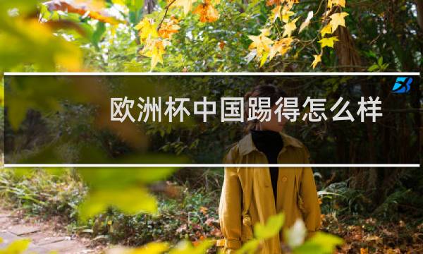 欧洲杯中国踢得怎么样图片
