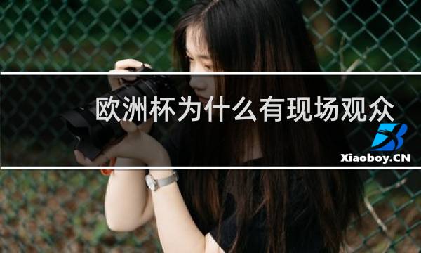 欧洲杯为什么有现场观众图片