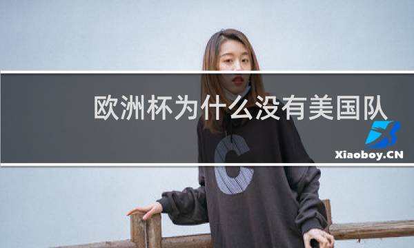 欧洲杯为什么没有美国队图片