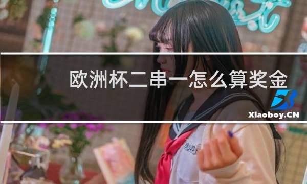 欧洲杯二串一怎么算奖金图片