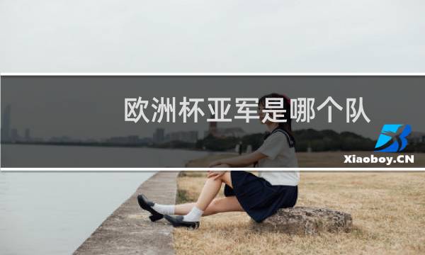 欧洲杯亚军是哪个队图片
