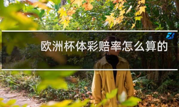 欧洲杯体彩赔率怎么算的图片