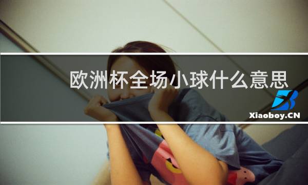 欧洲杯全场小球什么意思图片