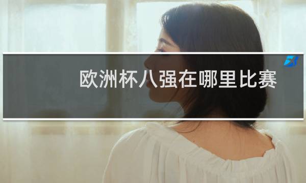 欧洲杯八强在哪里比赛图片