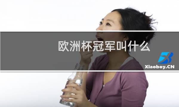 欧洲杯冠军叫什么图片