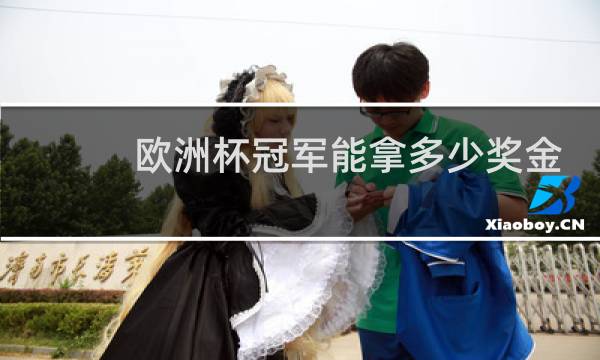 欧洲杯冠军能拿多少奖金图片