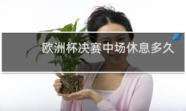 欧洲杯决赛中场休息多久图片