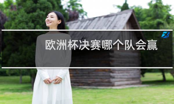 欧洲杯决赛哪个队会赢图片