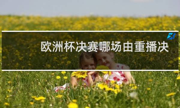 欧洲杯决赛哪场由重播决定图片
