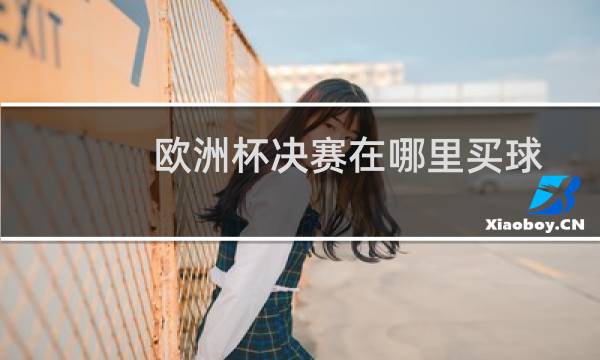 欧洲杯决赛在哪里买球图片