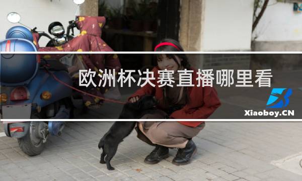 欧洲杯决赛直播哪里看图片