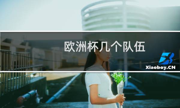欧洲杯几个队伍图片