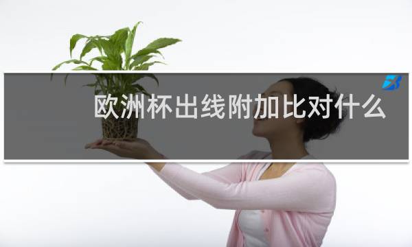 欧洲杯出线附加比对什么意思图片