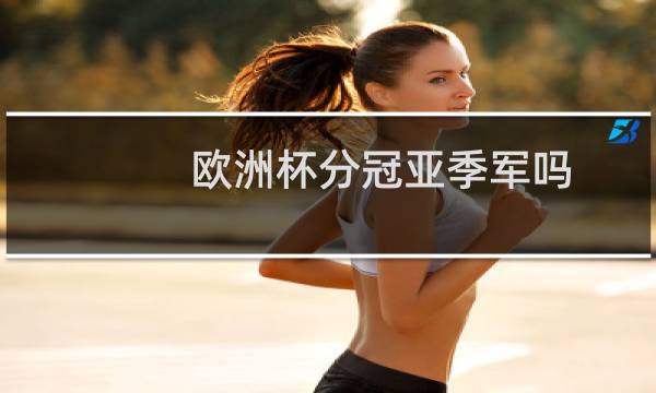 欧洲杯分冠亚季军吗图片