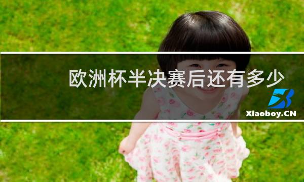 欧洲杯半决赛后还有多少场图片