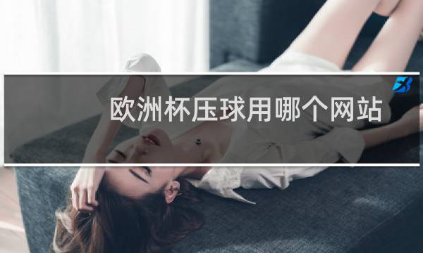 欧洲杯压球用哪个网站图片