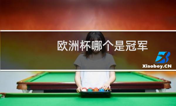 欧洲杯哪个是冠军图片