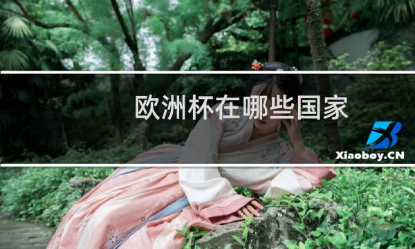 欧洲杯在哪些国家图片