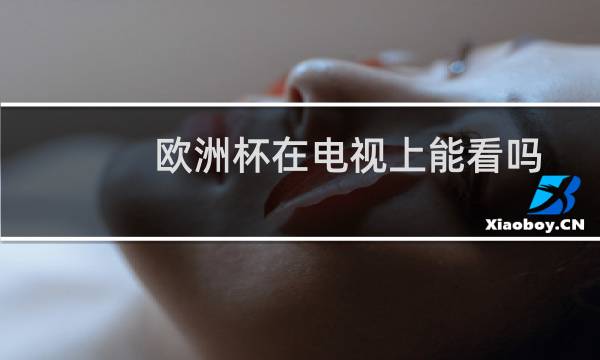 欧洲杯在电视上能看吗图片
