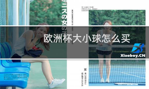 欧洲杯大小球怎么买图片