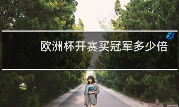 欧洲杯开赛买冠军多少倍图片