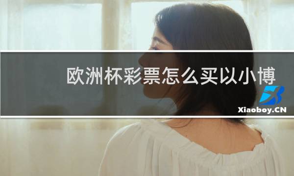 欧洲杯彩票怎么买以小博大图片