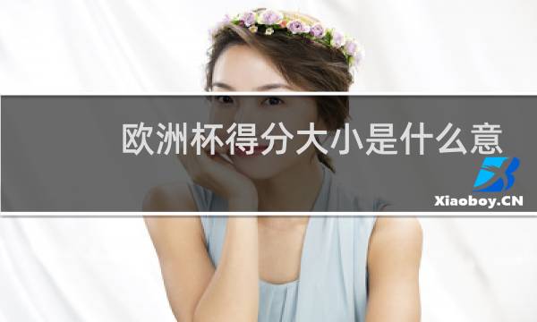 欧洲杯得分大小是什么意思图片