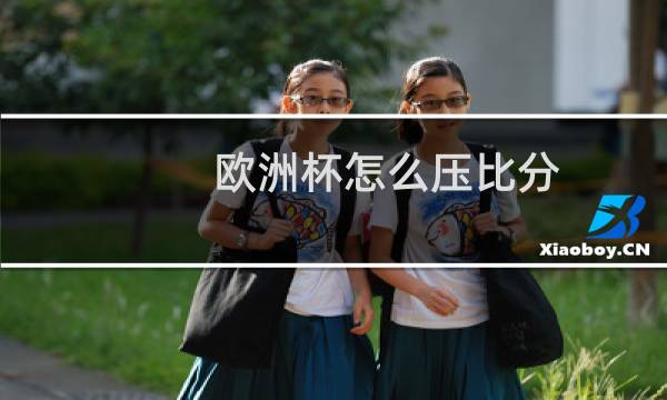 欧洲杯怎么压比分图片