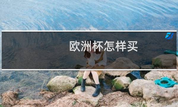 欧洲杯怎样买图片