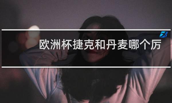 欧洲杯捷克和丹麦哪个厉害图片