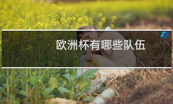 欧洲杯有哪些队伍图片