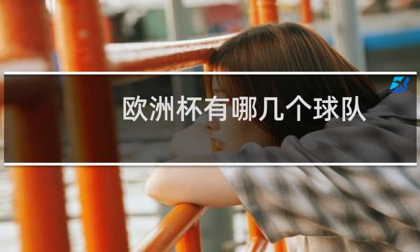 欧洲杯有哪几个球队图片