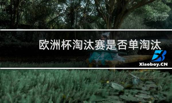 欧洲杯淘汰赛是否单淘汰制图片