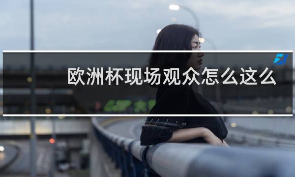 欧洲杯现场观众怎么这么少图片
