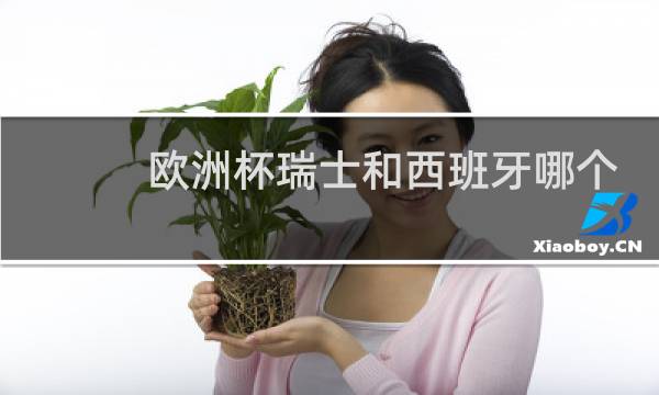 欧洲杯瑞士和西班牙哪个强图片