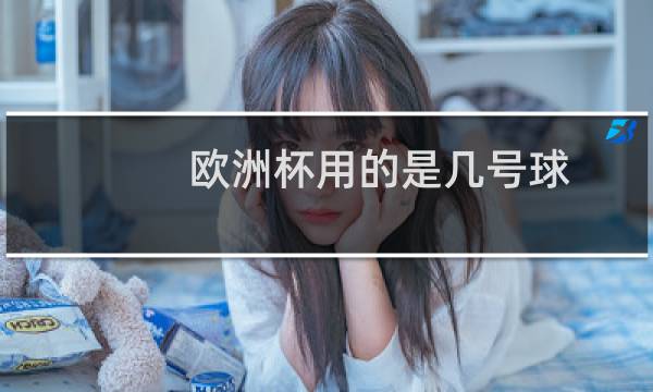 欧洲杯用的是几号球图片
